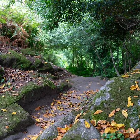 Porta Da Seca Casa Con Jardin Y Asador Rias Baixas Poio