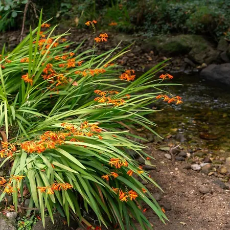 Casa de Férias Porta Da Seca Casa Con Jardín Y Asador Rías Baixas Poio